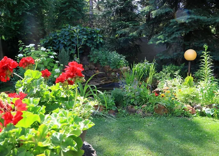 Sumski Raj * Subotica