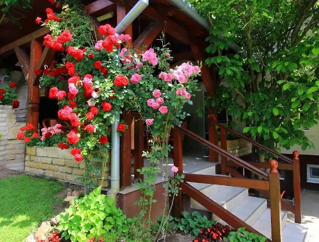 Sumski Raj * Subotica